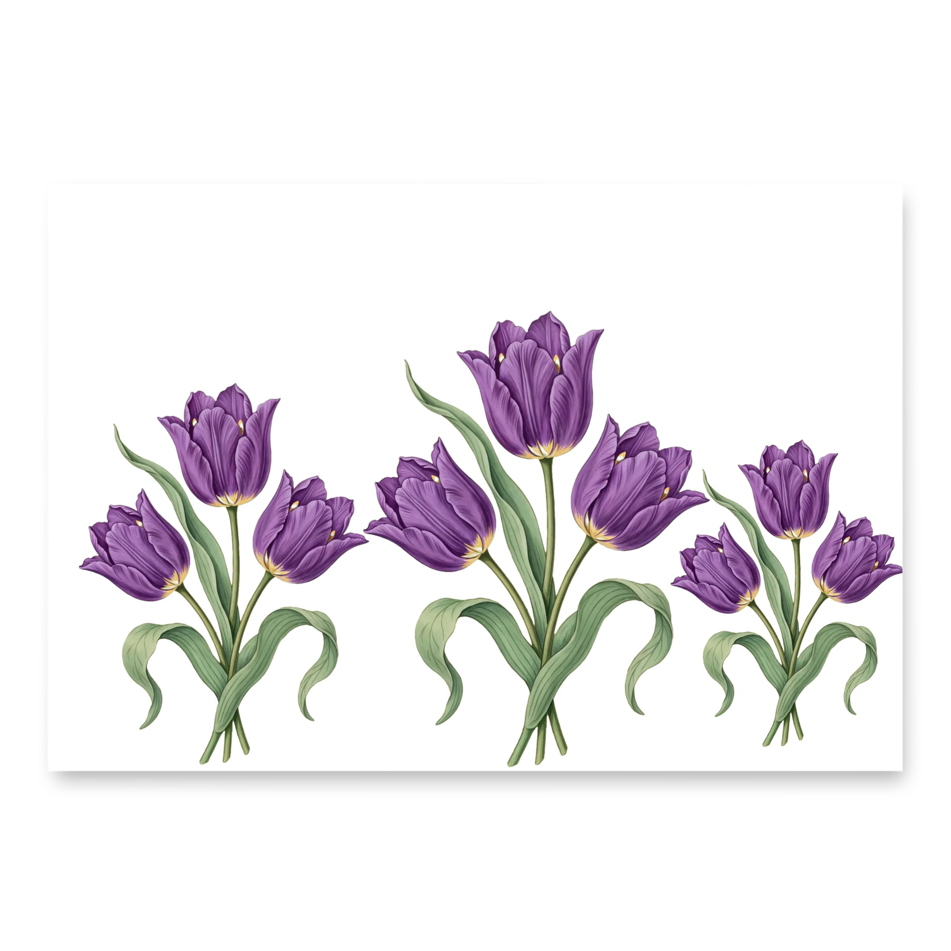 Beautiful Purple Tulip Design - Perfect for Home Decor & Apparel